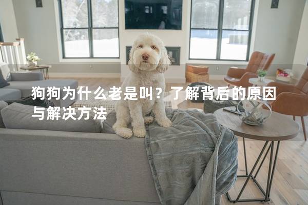 狗狗为什么老是叫？了解背后的原因与解决方法