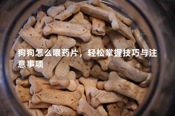 狗狗怎么喂药片，轻松掌握技巧与注意事项