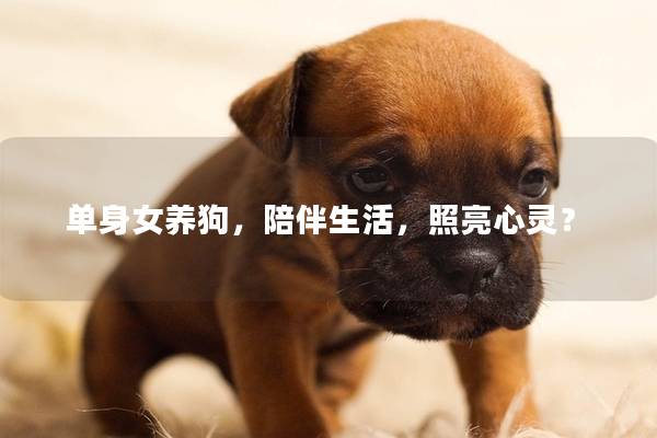 单身女养狗，陪伴生活，照亮心灵？