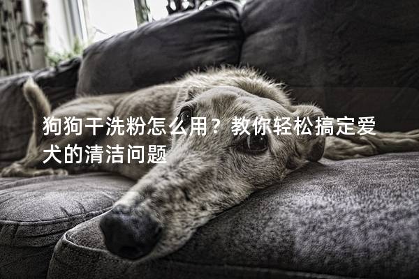 狗狗干洗粉怎么用？教你轻松搞定爱犬的清洁问题