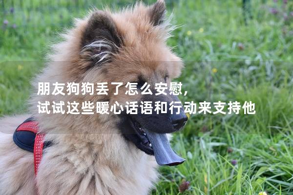 朋友狗狗丢了怎么安慰, 试试这些暖心话语和行动来支持他