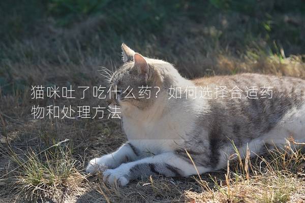 猫咪吐了吃什么药？如何选择合适药物和处理方法