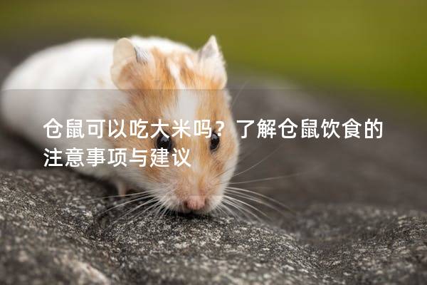 仓鼠可以吃大米吗？了解仓鼠饮食的注意事项与建议