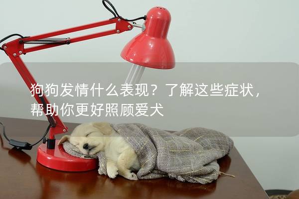 狗狗发情什么表现？了解这些症状，帮助你更好照顾爱犬