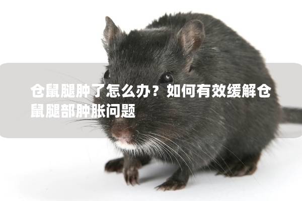 仓鼠腿肿了怎么办？如何有效缓解仓鼠腿部肿胀问题