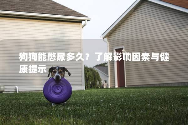狗狗能憋尿多久?了解影响因素与健康提示 狗狗能憋尿多久?了解影响因素与健康提示
