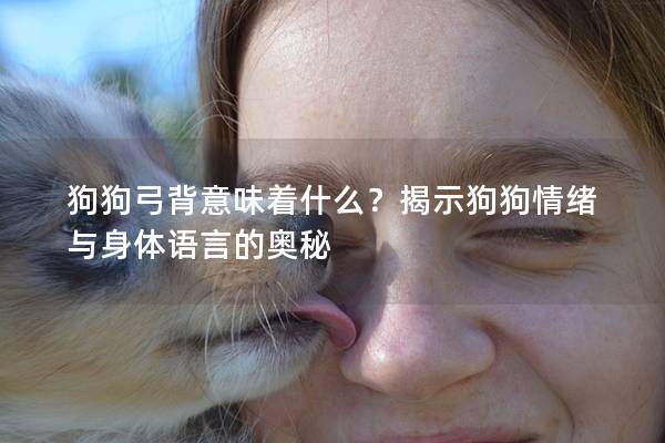 狗狗弓背意味着什么？揭示狗狗情绪与身体语言的奥秘