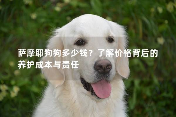 萨摩耶狗狗多少钱？了解价格背后的养护成本与责任