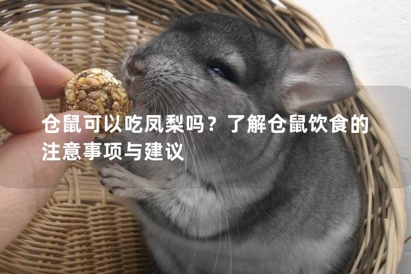 仓鼠可以吃凤梨吗？了解仓鼠饮食的注意事项与建议