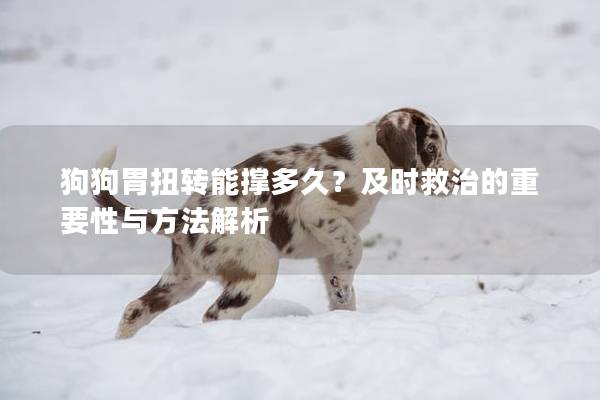 狗狗胃扭转能撑多久?及时救治的重要性与方法解析 狗狗胃扭转能撑多久?及时救治的重要性与方法解析