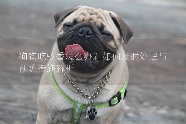 狗狗吃蚊香怎么办？如何及时处理与预防措施解析