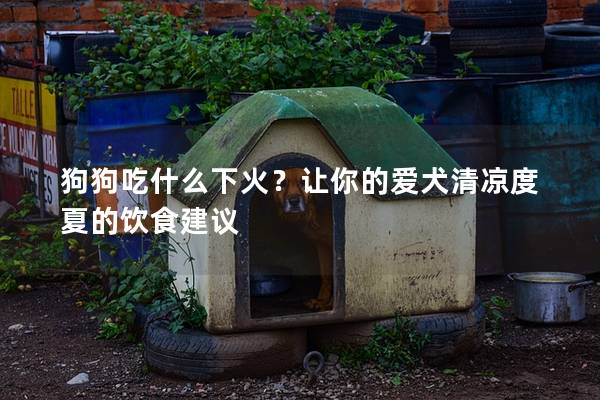 狗狗吃什么下火？让你的爱犬清凉度夏的饮食建议
