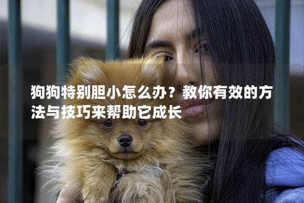 狗狗特别胆小怎么办？教你有效的方法与技巧来帮助它成长