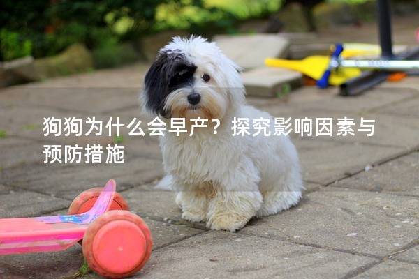 狗狗为什么会早产？探究影响因素与预防措施
