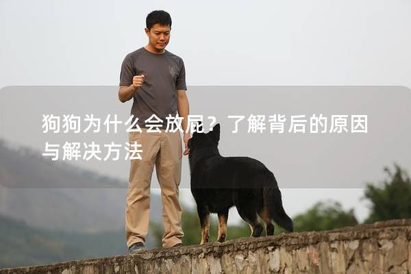 狗狗为什么会放屁？了解背后的原因与解决方法
