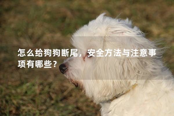 怎么给狗狗断尾，安全方法与注意事项有哪些？