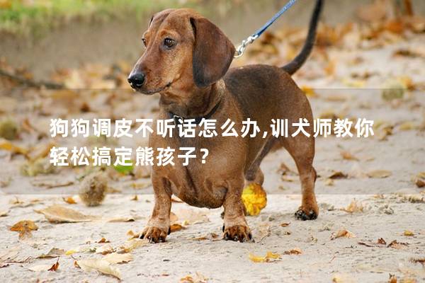 狗狗调皮不听话怎么办,训犬师教你轻松搞定熊孩子? 狗狗调皮不听话怎么办,训犬师教你轻松搞定熊孩子?