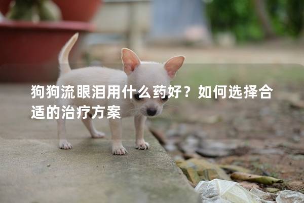 狗狗流眼泪用什么药好？如何选择合适的治疗方案