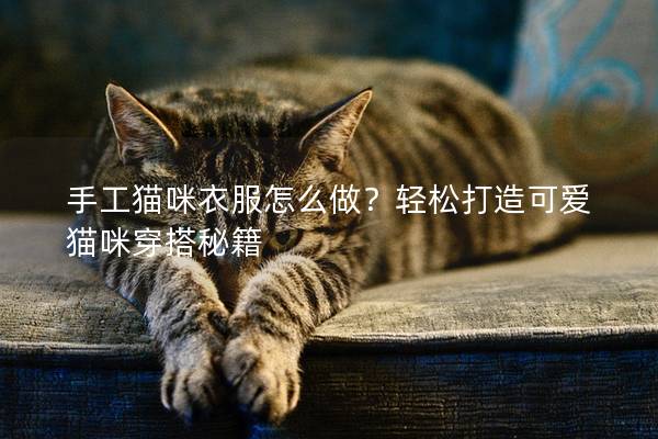 手工猫咪衣服怎么做？轻松打造可爱猫咪穿搭秘籍
