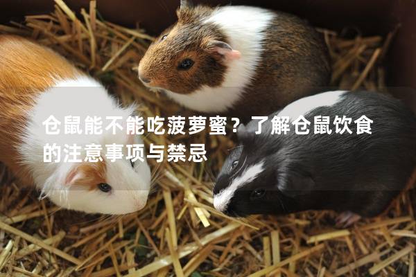 仓鼠能不能吃菠萝蜜？了解仓鼠饮食的注意事项与禁忌