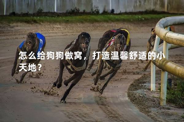 怎么给狗狗做窝，打造温馨舒适的小天地？