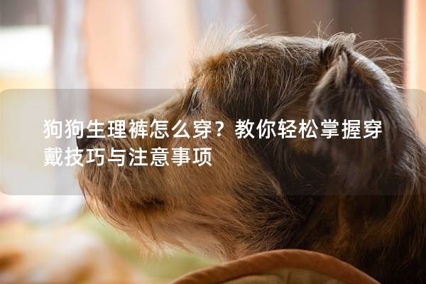 狗狗生理裤怎么穿？教你轻松掌握穿戴技巧与注意事项