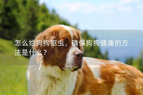 怎么给狗狗驱虫,确保狗狗健康的方法是什么? 怎么给狗狗驱虫,确保狗狗健康的方法是什么?