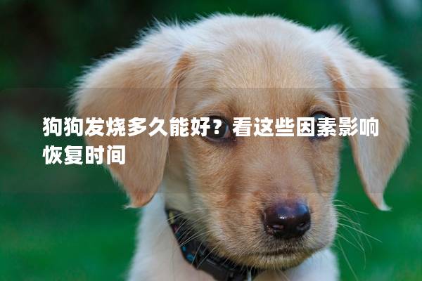 狗狗发烧多久能好？看这些因素影响恢复时间