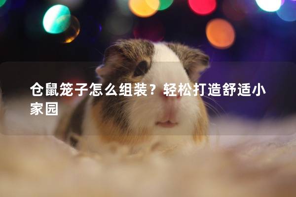 仓鼠笼子怎么组装？轻松打造舒适小家园