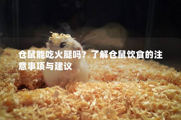仓鼠能吃火腿吗？了解仓鼠饮食的注意事项与建议