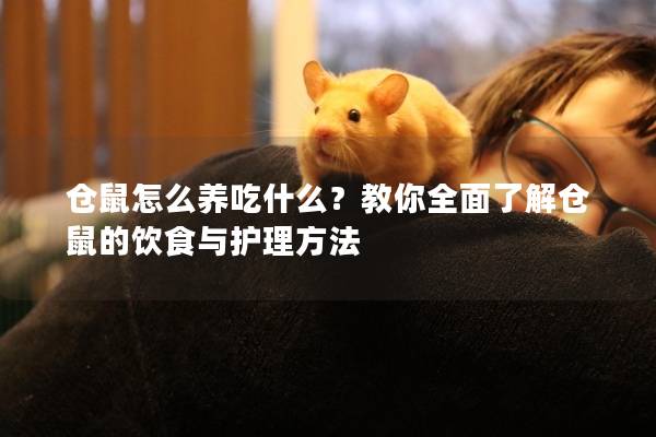 仓鼠怎么养吃什么？教你全面了解仓鼠的饮食与护理方法