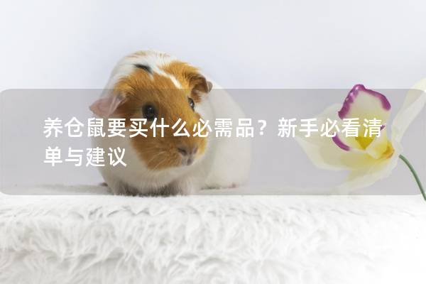 养仓鼠要买什么必需品？新手必看清单与建议