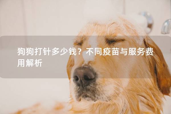 狗狗打针多少钱?不同疫苗与服务费用解析 狗狗打针多少钱?不同疫苗与服务费用解析