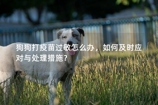 狗狗打疫苗过敏怎么办，如何及时应对与处理措施？