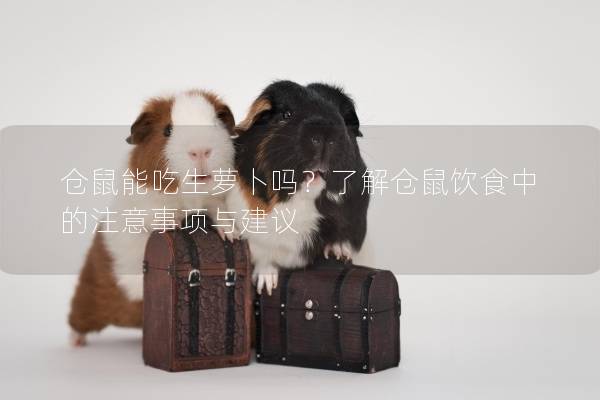 仓鼠能吃生萝卜吗？了解仓鼠饮食中的注意事项与建议