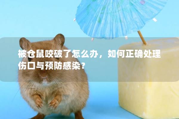 被仓鼠咬破了怎么办，如何正确处理伤口与预防感染？
