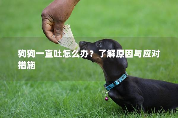 狗狗一直吐怎么办？了解原因与应对措施