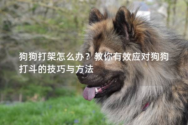 狗狗打架怎么办？教你有效应对狗狗打斗的技巧与方法