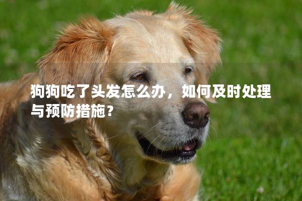 狗狗吃了头发怎么办，如何及时处理与预防措施？