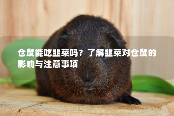 仓鼠能吃韭菜吗？了解韭菜对仓鼠的影响与注意事项