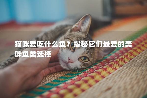 猫咪爱吃什么鱼？揭秘它们最爱的美味鱼类选择