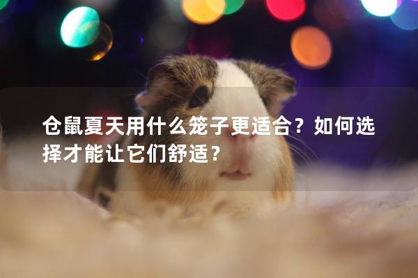 仓鼠夏天用什么笼子更适合？如何选择才能让它们舒适？