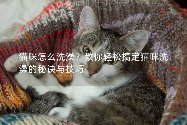 猫咪怎么洗澡？教你轻松搞定猫咪洗澡的秘诀与技巧