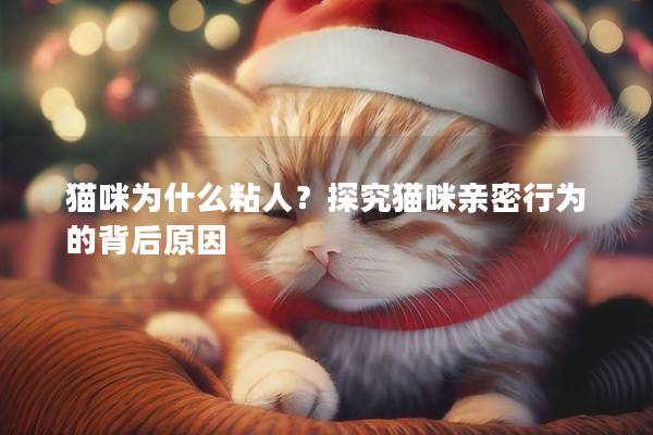 猫咪为什么粘人？探究猫咪亲密行为的背后原因