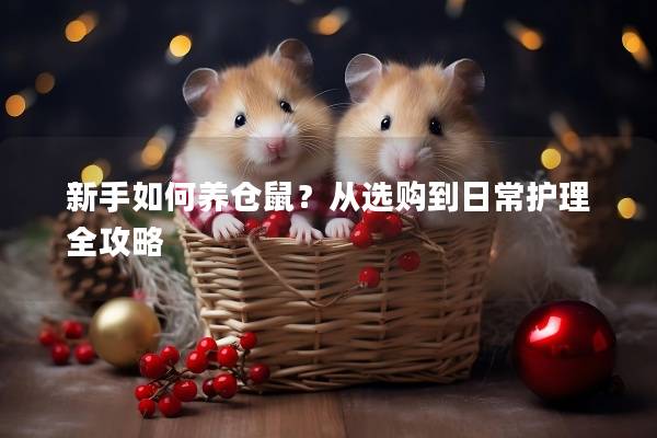 新手如何养仓鼠？从选购到日常护理全攻略