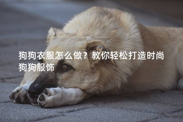狗狗衣服怎么做？教你轻松打造时尚狗狗服饰