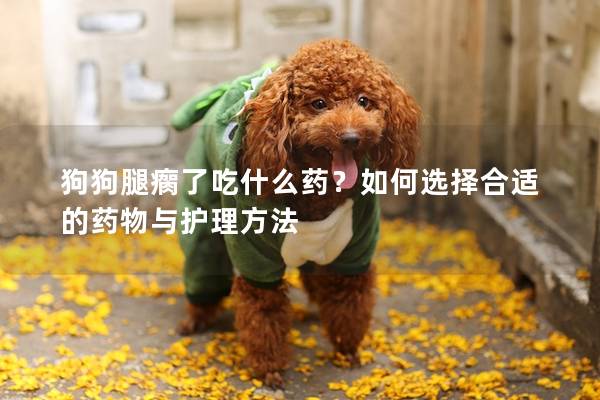狗狗腿瘸了吃什么药？如何选择合适的药物与护理方法