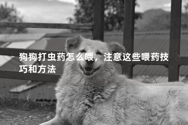 狗狗打虫药怎么喂，注意这些喂药技巧和方法