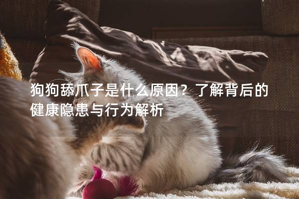 狗狗舔爪子是什么原因？了解背后的健康隐患与行为解析
