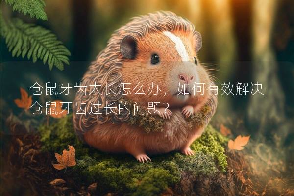 仓鼠牙齿太长怎么办，如何有效解决仓鼠牙齿过长的问题？